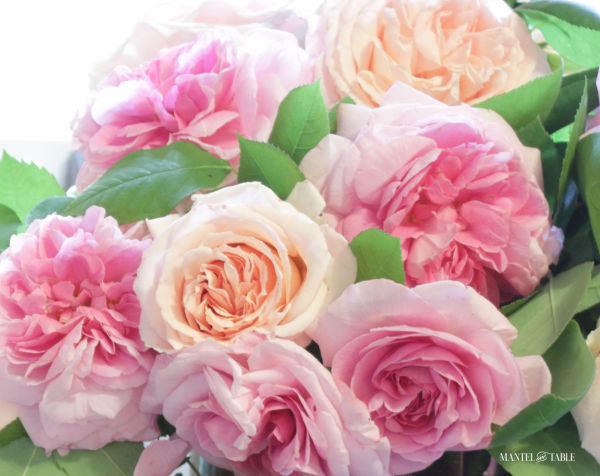 Fresh Flowers - Pink & Blush Garden Roses