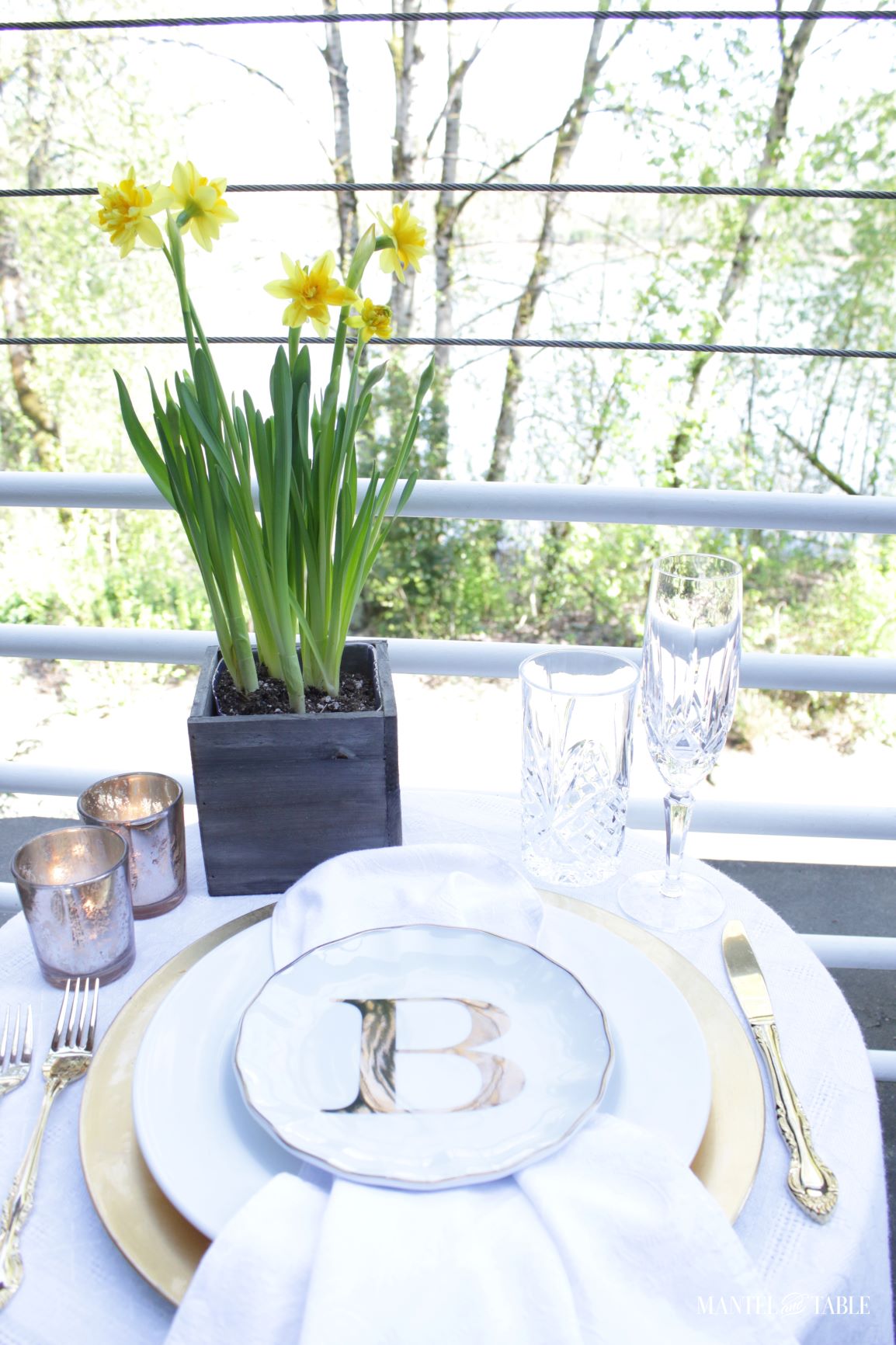 Daffodil plant on the table