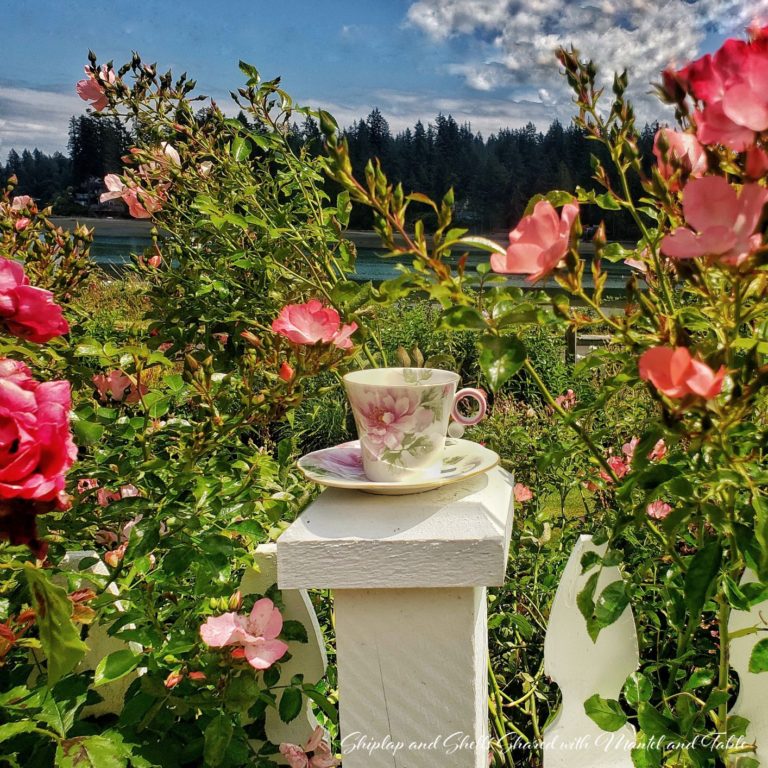 A Cottage Garden For Our Traveling Teacup ~ Stop #5