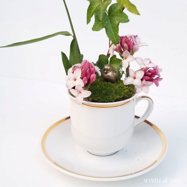 How to Make an Elegant Little Teacup Garden